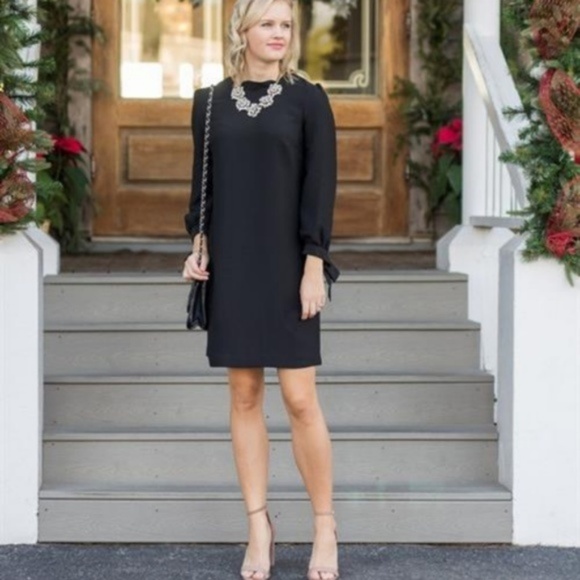 Long Sleeve Shift Dress Nwt 